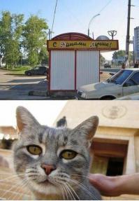 Фишкина солянка за 30.06.2014