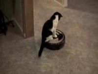 Колеса, на которые не нужны права