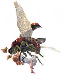 этим ножом Дюймовочка может от жуков обороняться