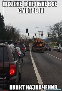 Водителя BMW убило выпавшим мусором