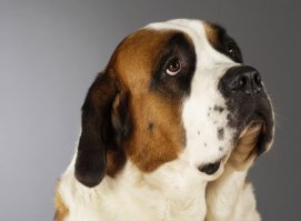 Обнять и плакать. ТОП-12 актеров с самыми грустными глазами