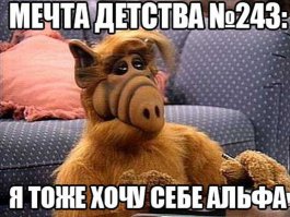 я и сейчас хочу Альфа!