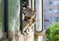 Сфотографировал пейзаж