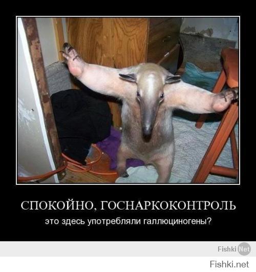 Солянка для Майдана. Часть 35