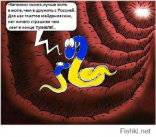 Почему «ополченцы-иностранцы» не боятся фотовспышек