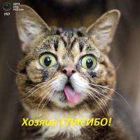 Рукожопство коврика для ванной из мха
