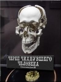 Познавательно, анатомию надо знать =)