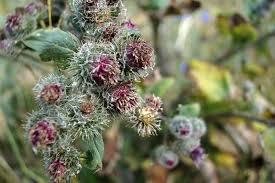 Созданы друг для друга!