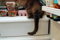 на краю доски наказание 
Три взрыва

Сосулькин 
САРДЭЛЬКА