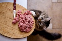 на краю доски наказание 
Три взрыва

Сосулькин 
САРДЭЛЬКА