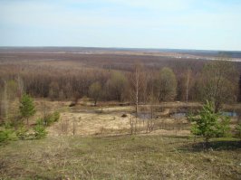 Вот это болото возле Домнина, где поляки полегли...там и камень памятный установлен.
