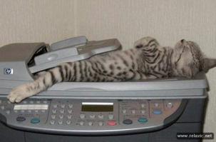  Попросил товарища отсканировать прогулянную лекцию