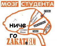 Солянка для Майдана. Часть 30