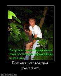 Стоп-кадр