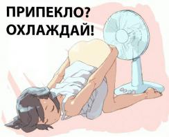 Где мои трусы? ))))