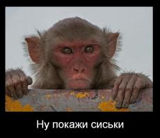 Все мужчины делают это