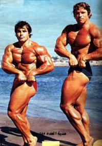 Статуя Арнольда Шварценеггера