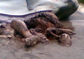 Хватит одной фотки.