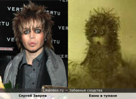 Так похожи друг на друга