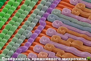 Микромир через микроскоп