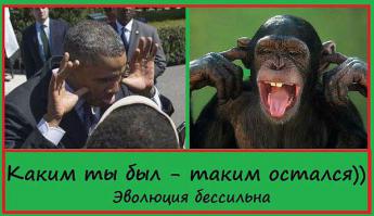 Не обращай внимания