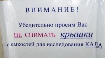Одной фразой
