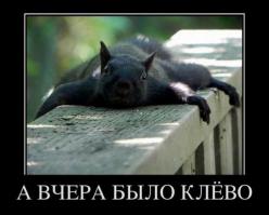 Немного картинок для поднятия настроения