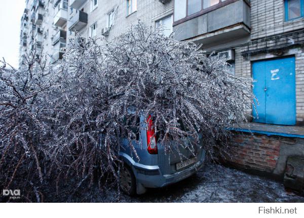 Если вы увидите нечто подобное — бегите без оглядки