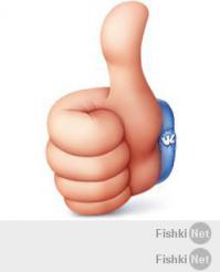 Подборка видео от 06.06.2014