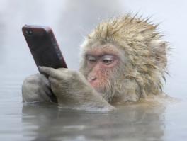 20 захватывающих кадров от любителей пощекотать себе и другим нервы