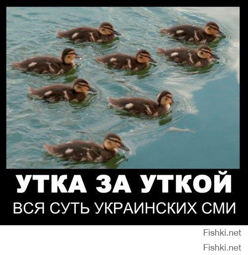 Украинские СМИ - СИБИРСКИЙ МАЙДАН