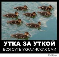 Колония розовых скворцов бежала из Крыма на украину