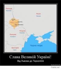 Колония розовых скворцов бежала из Крыма на украину