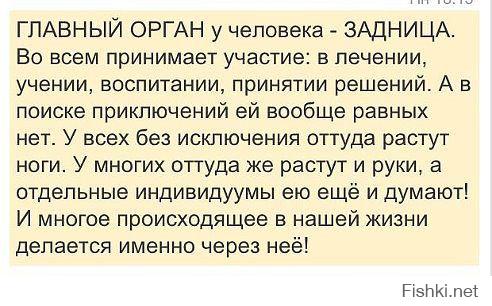 22 факта о человеческом теле, которые невозможно забыть