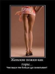 Фишкина солянка за 15.11.2014 