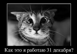 15 реакций котов на повседневные ситауции