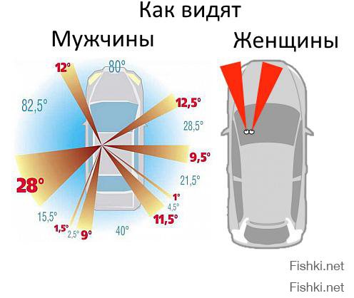 Советы начинающему водителю