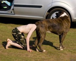 Фото "Показалось"