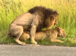 мне кажется, что тема не раскрыта...