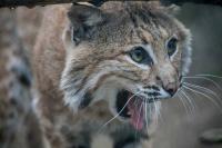 О! это моя когда я лезу в холодильник и достаю себе чего нить пожрать а не ей.