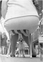 За секунду ДО.