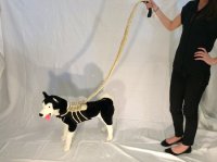 шарик уже не тот. видимо чужой сожрал его из нутри.)))