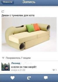  Котодевайсы, от которых ваш котэ будет в восторге