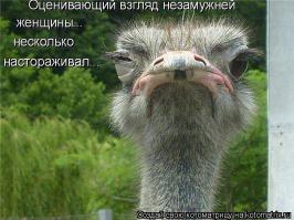 опять с друзьями бухал? 