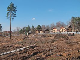 у меня полгорода военнопленные отстроили. На фото дома ихней постройки 1945 г. До сих пор стоят, хотя постепенно сносить начинают под новостройки