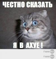 Очаровательный дуэт мамы и дочки покорил весь мир