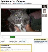 Безбашенные объявления