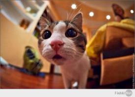 Закрой дверь пожалуйста