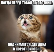 Забавные картинки для взрослых