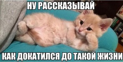  Первый день молодого врача в психбольнице 